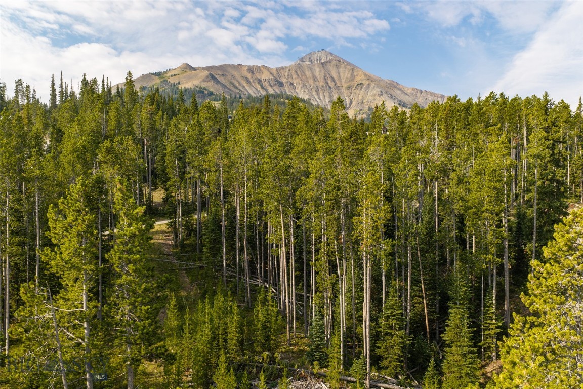 Lot 14 Peaks View Drive