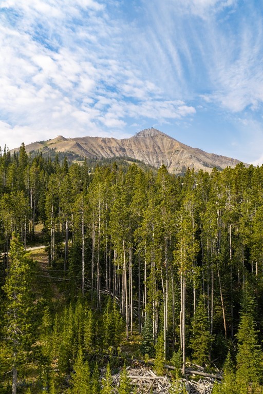 Lot 14 Peaks View Drive