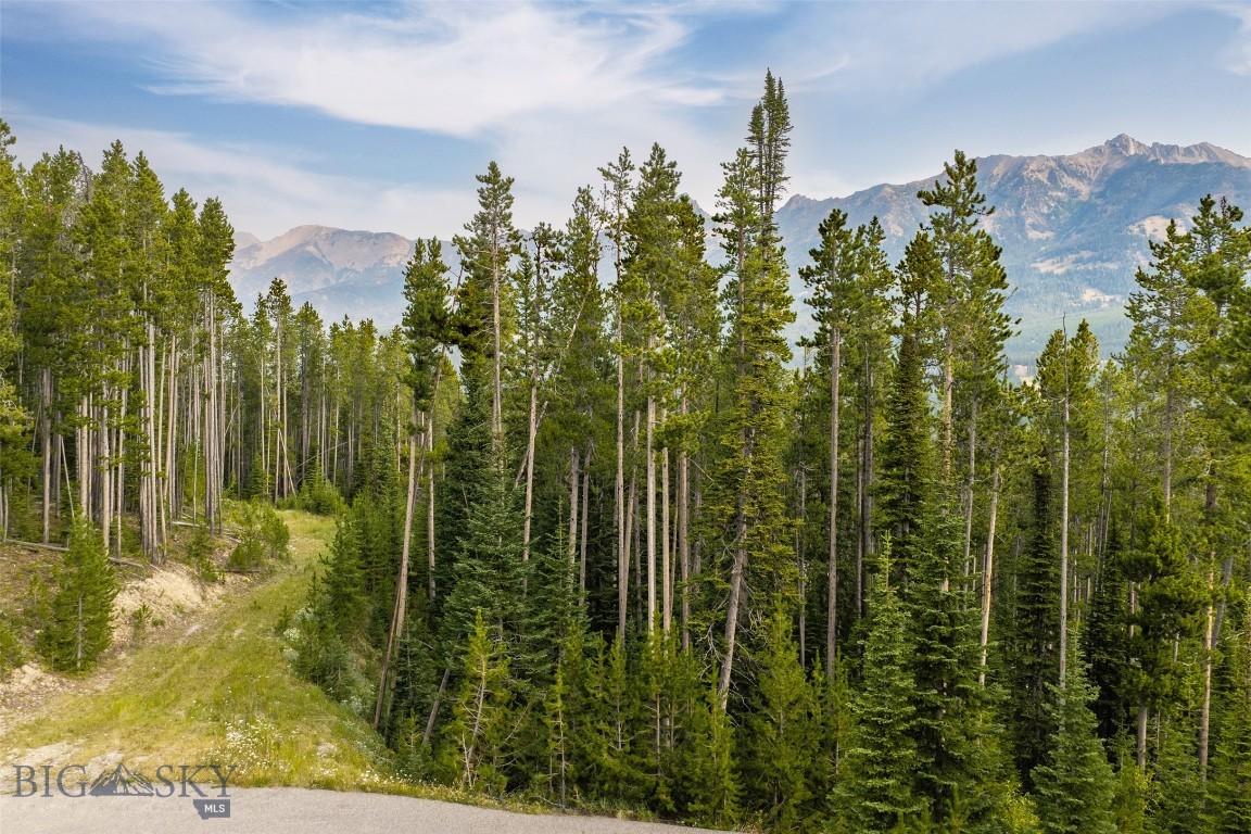 Lot 14 Peaks View Drive