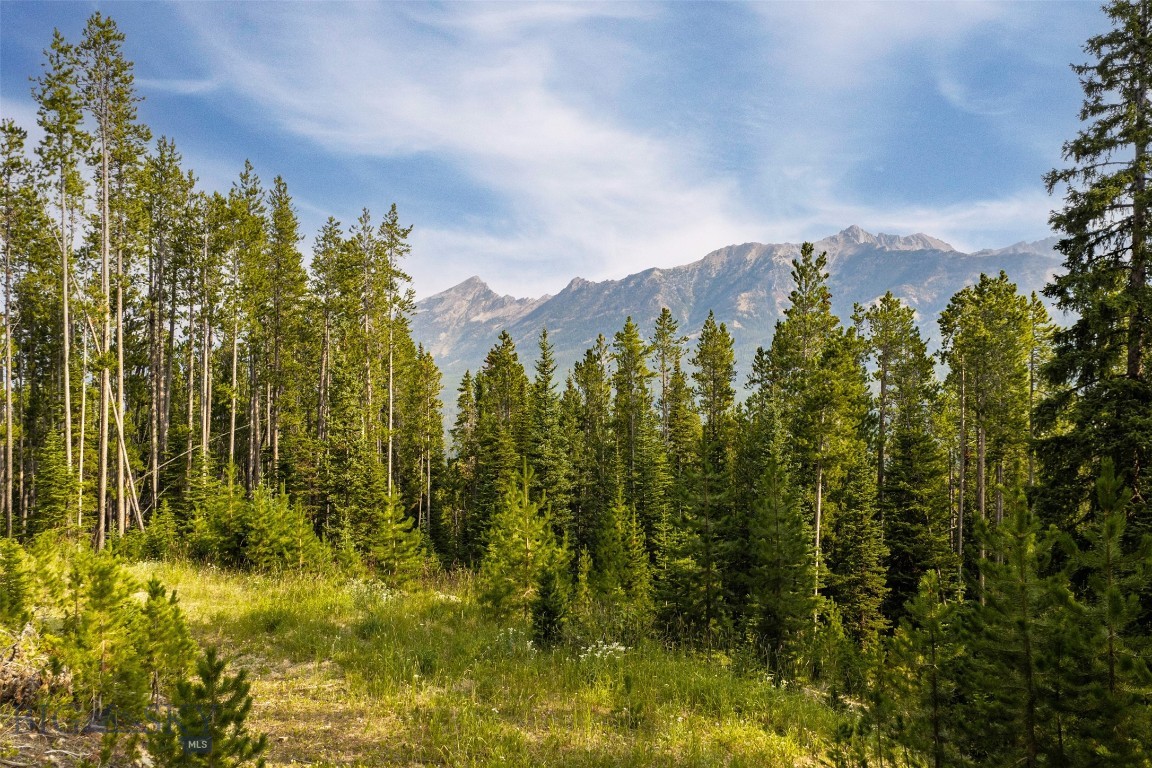 Lot 14 Peaks View Drive
