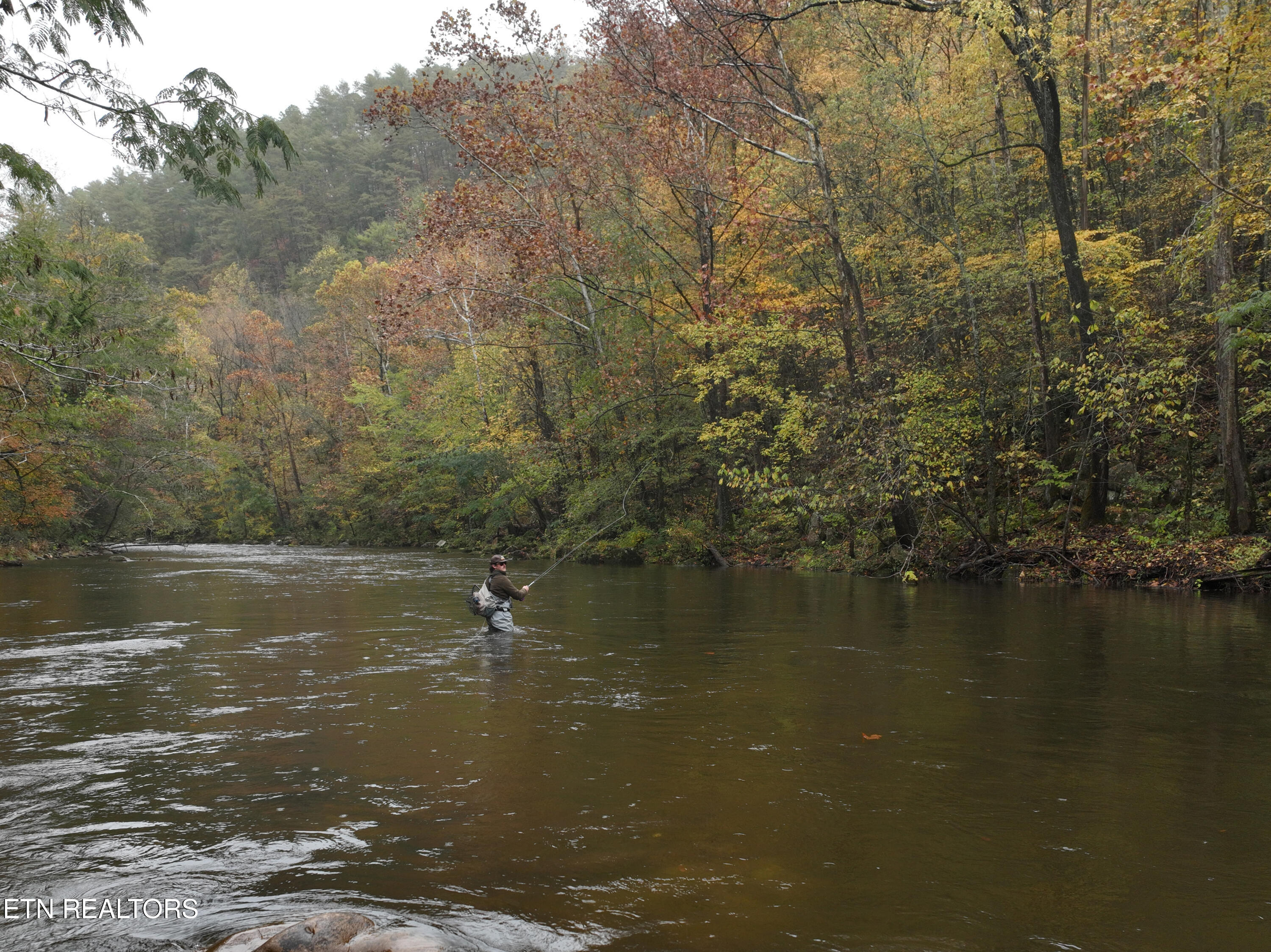 6316 Old Walland Hwy