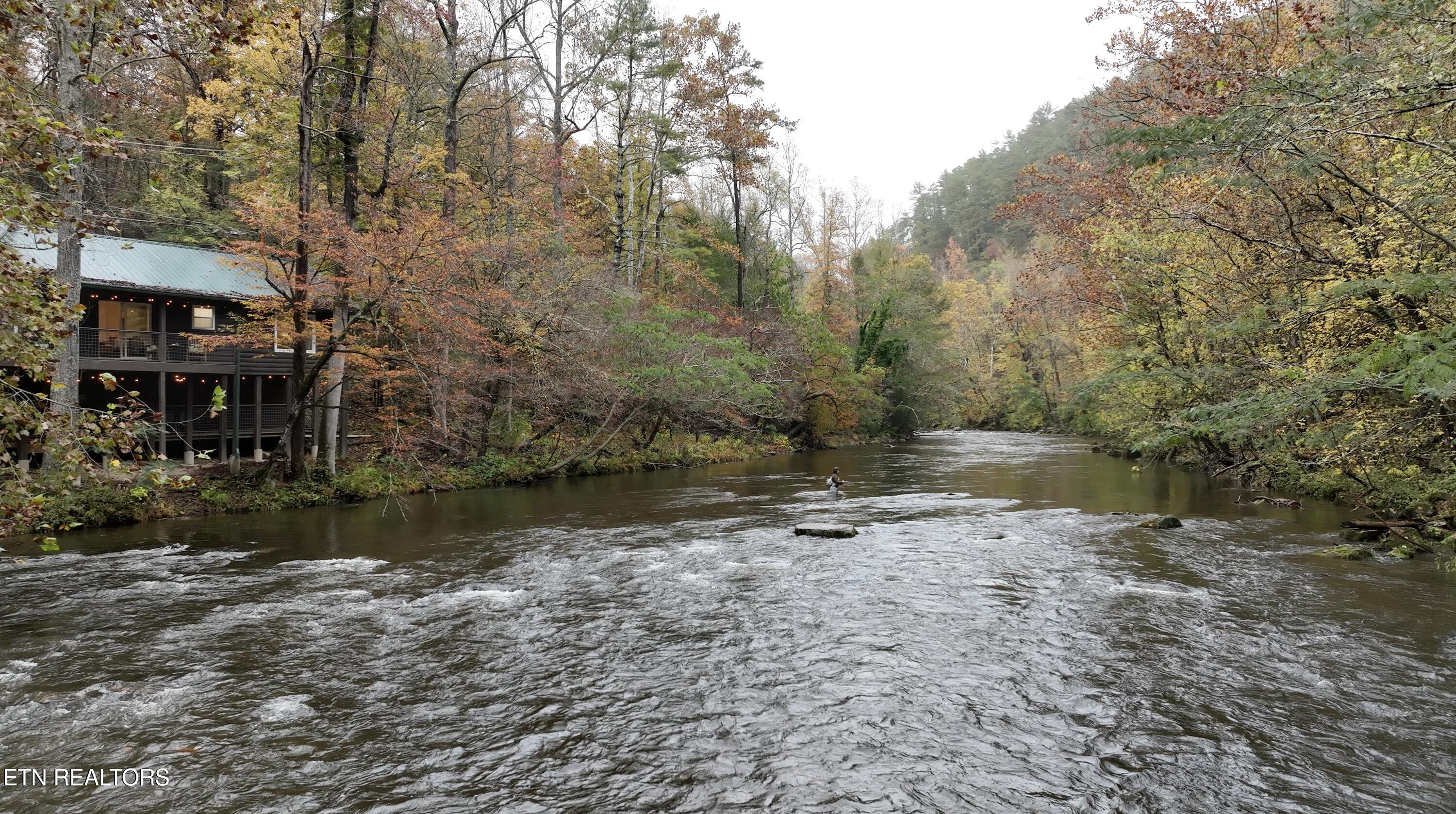 6316 Old Walland Hwy