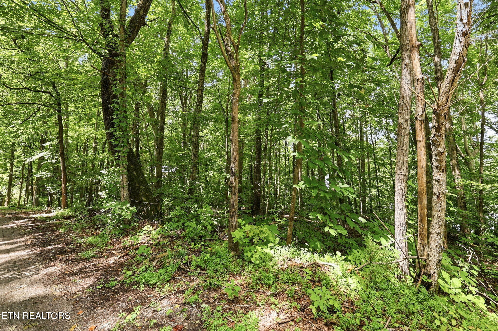 Lot 17 Tumbling Run Estates