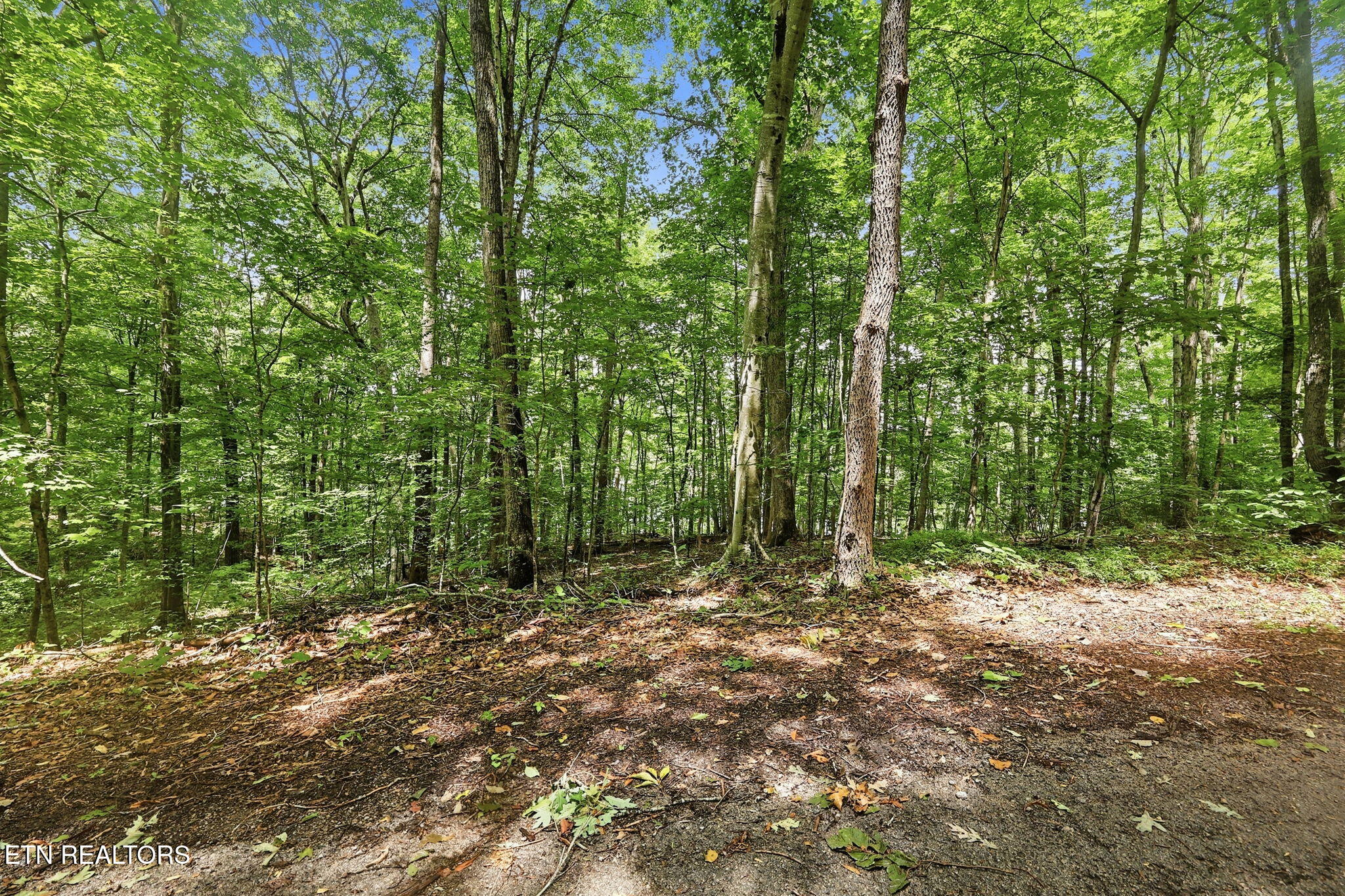 Lot 17 Tumbling Run Estates