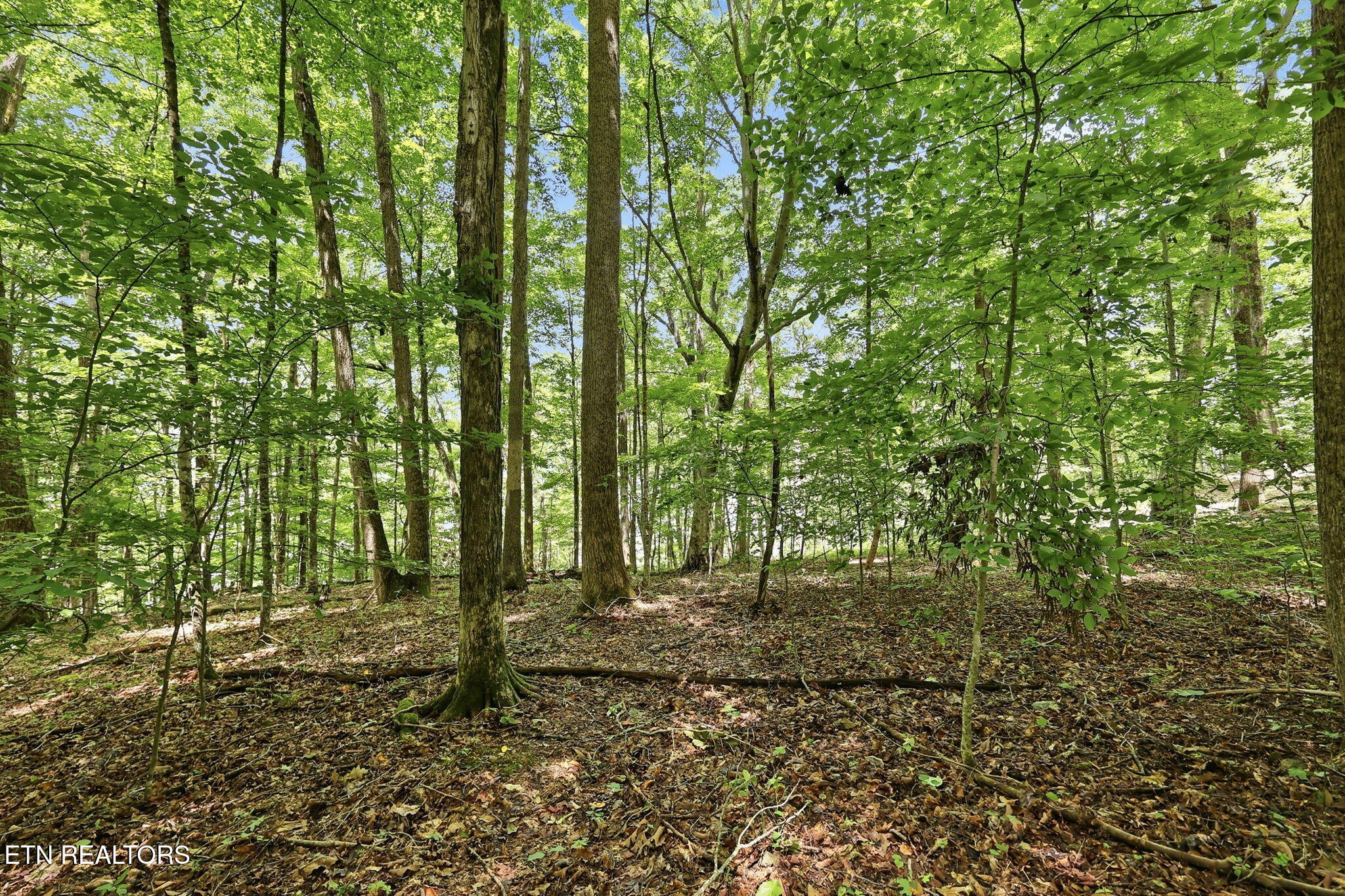 Lot 17 Tumbling Run Estates