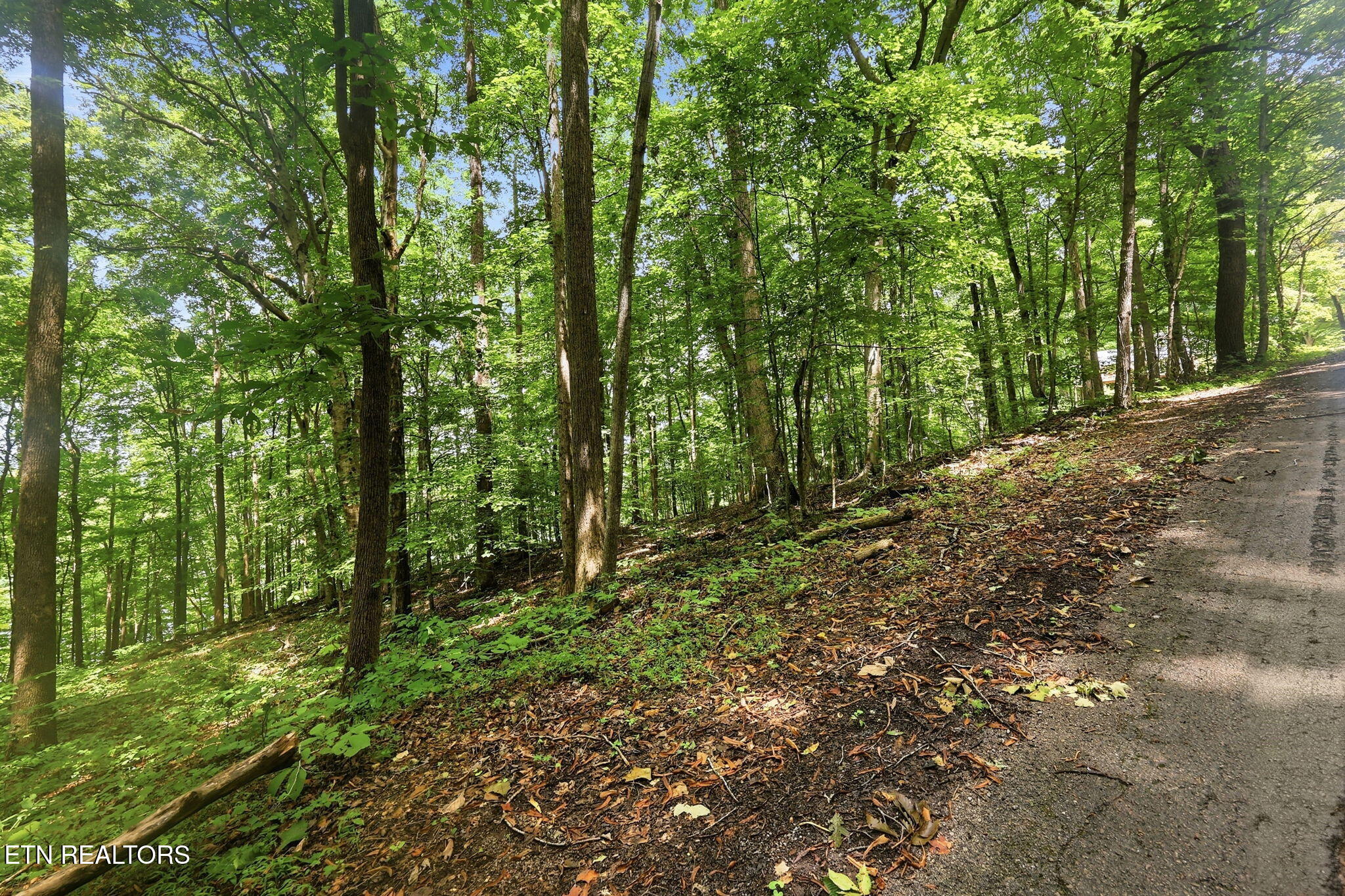Lot 17 Tumbling Run Estates