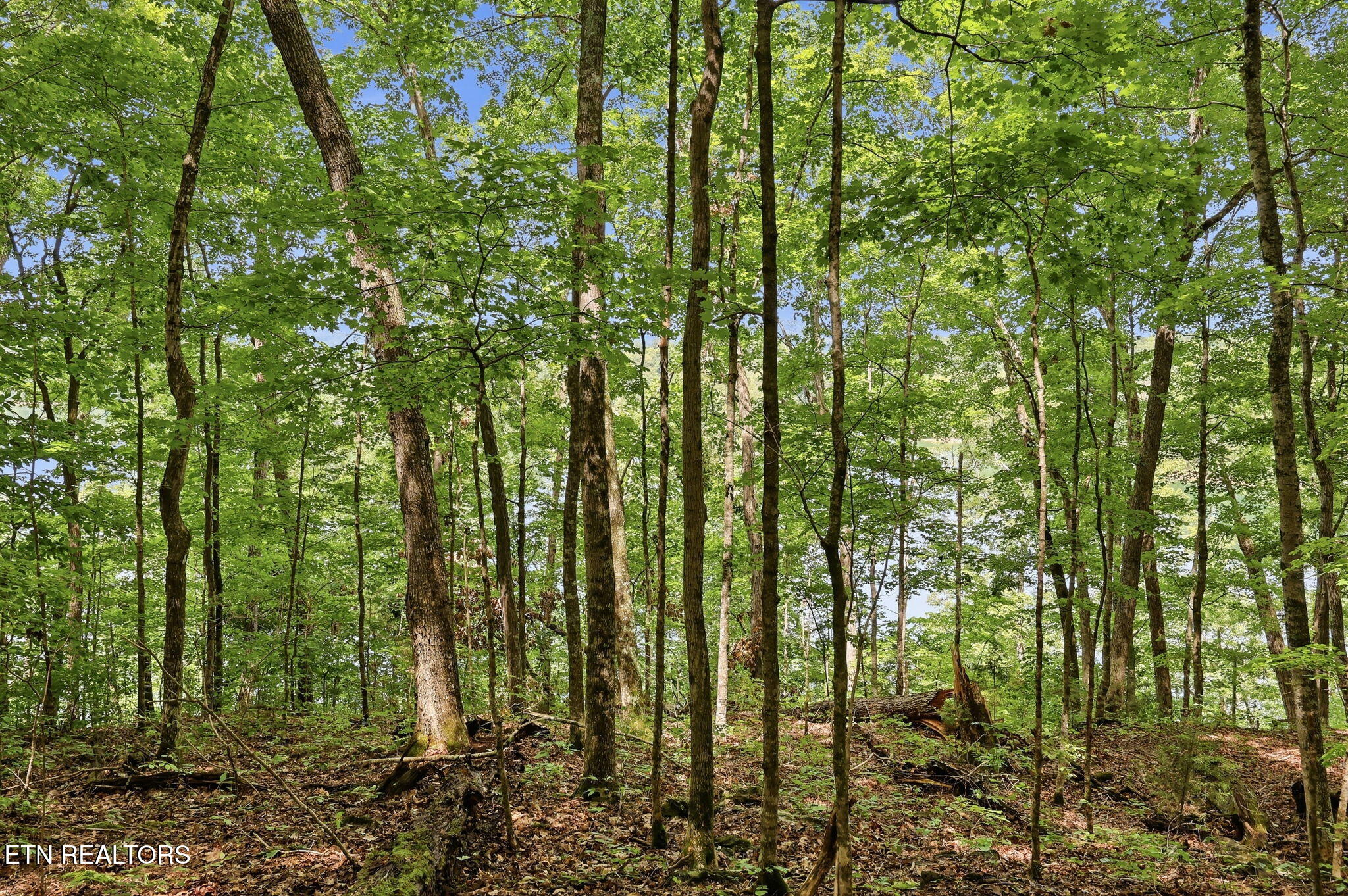 Lot 17 Tumbling Run Estates