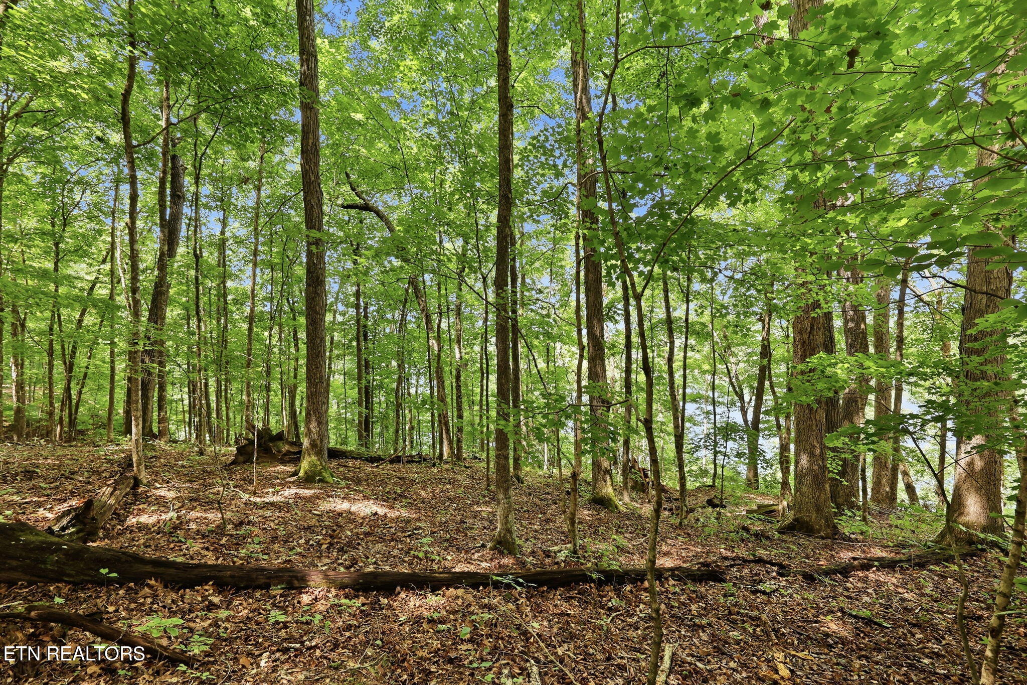 Lot 17 Tumbling Run Estates