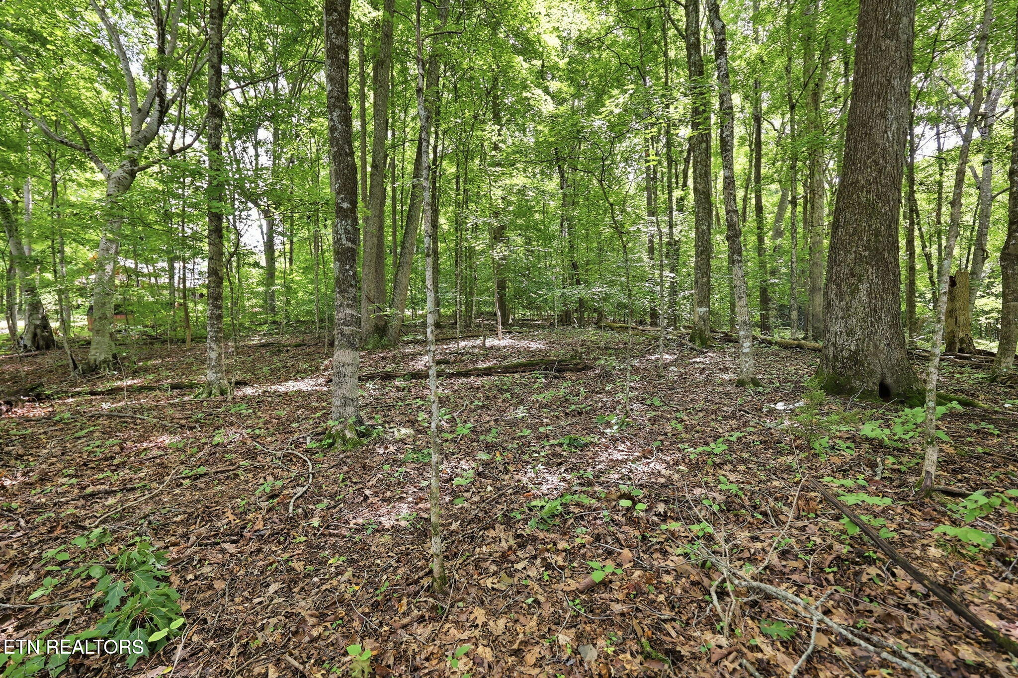 Lot 17 Tumbling Run Estates