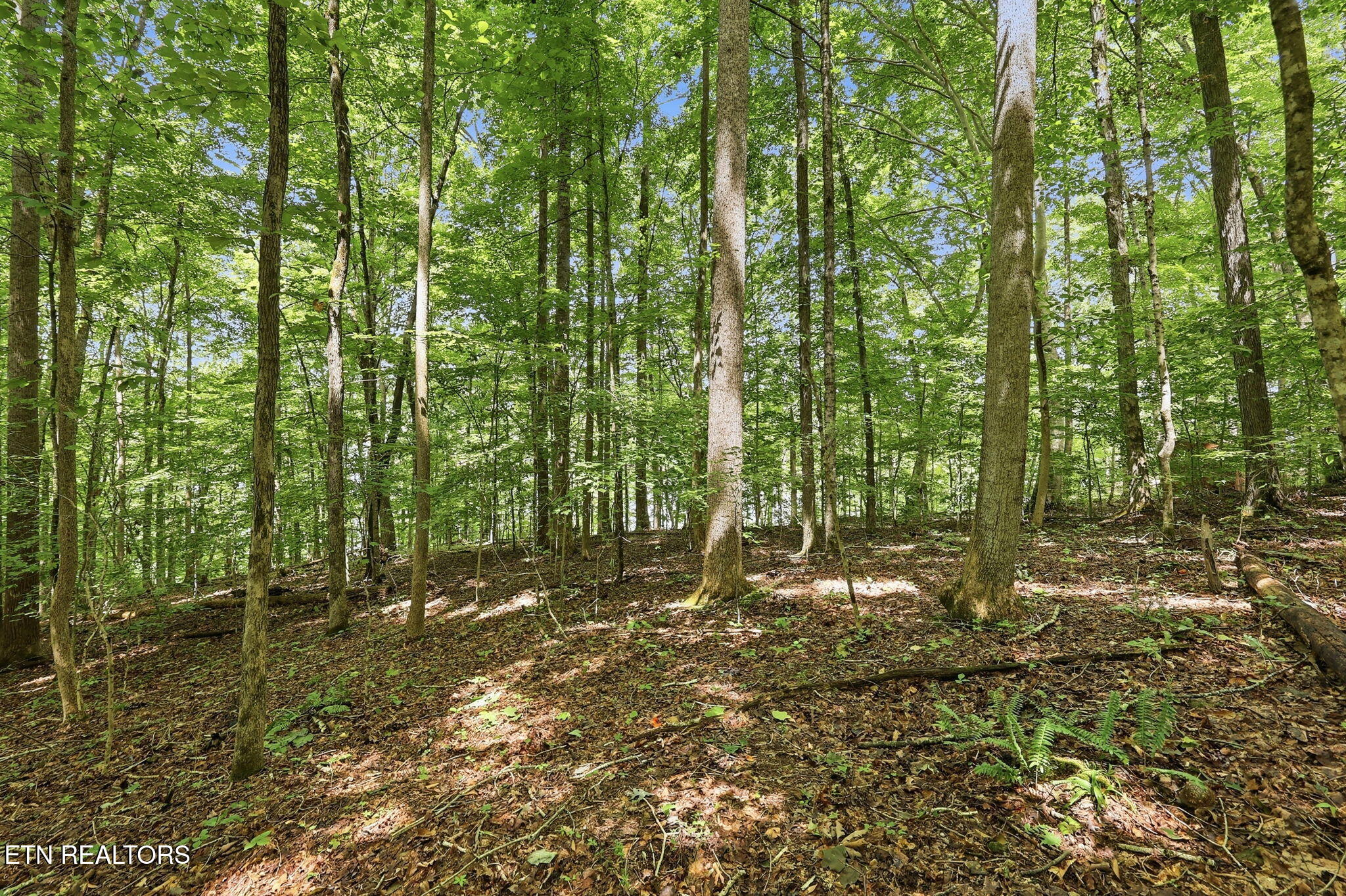 Lot 17 Tumbling Run Estates
