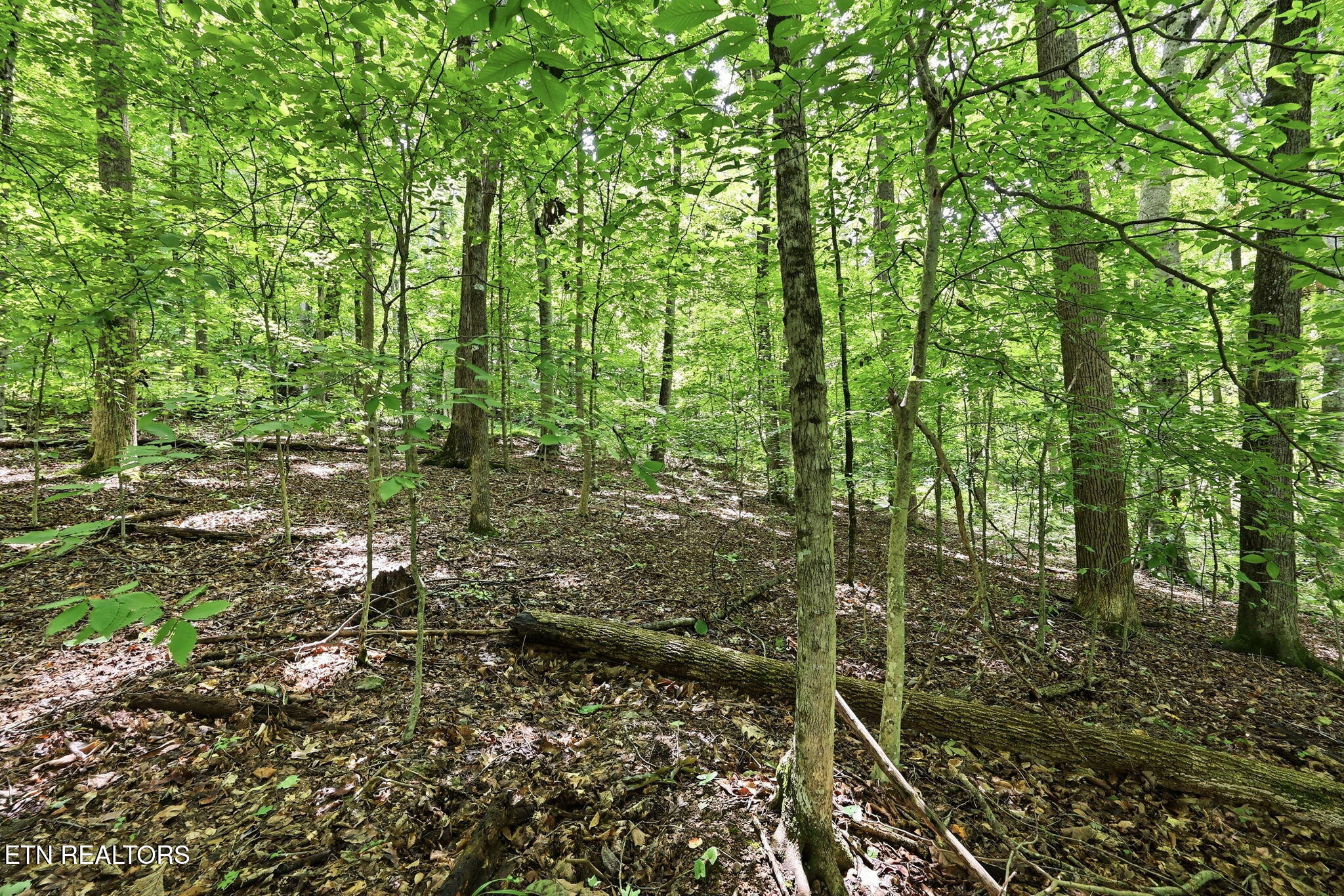 Lot 17 Tumbling Run Estates