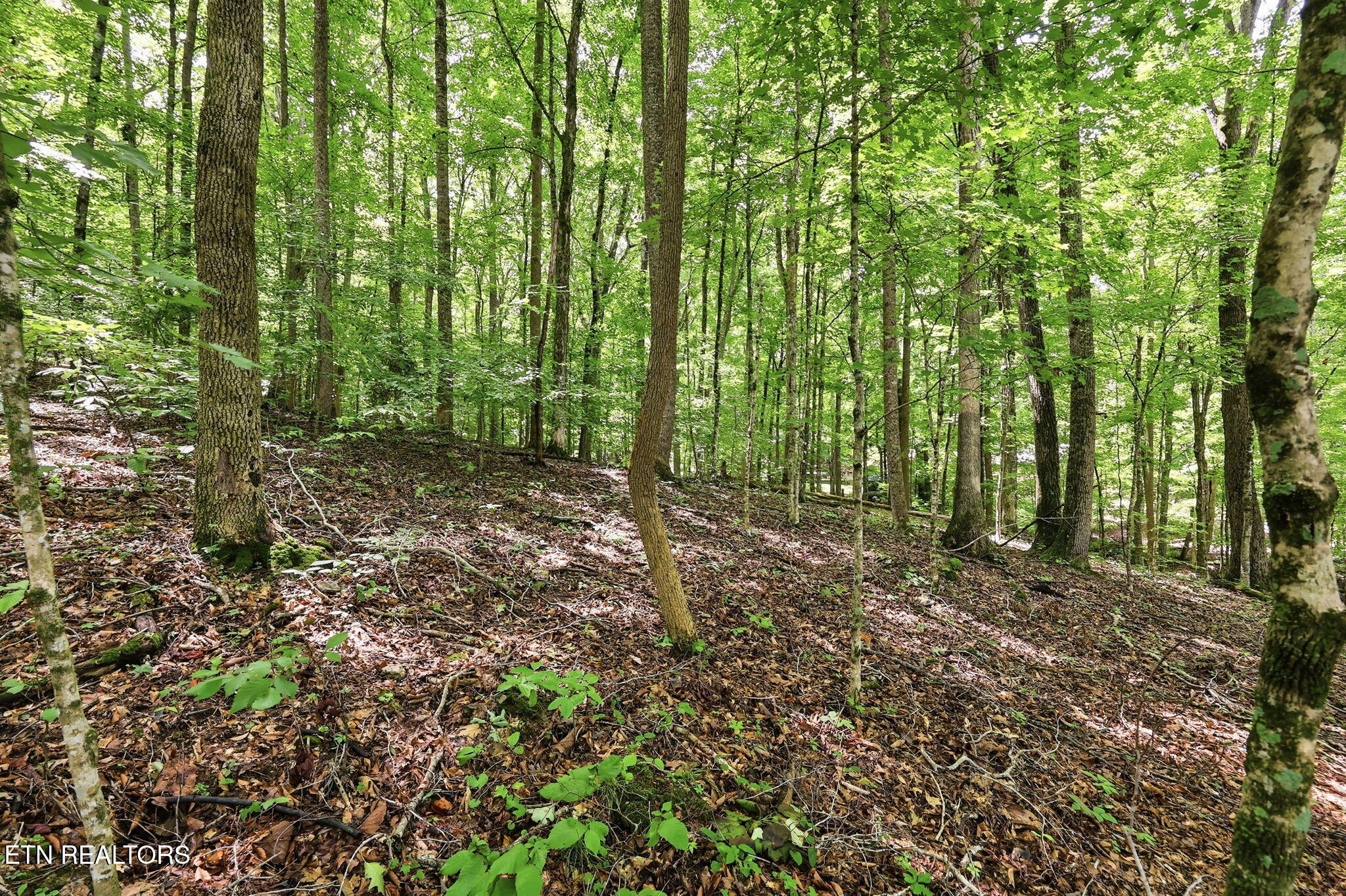 Lot 17 Tumbling Run Estates