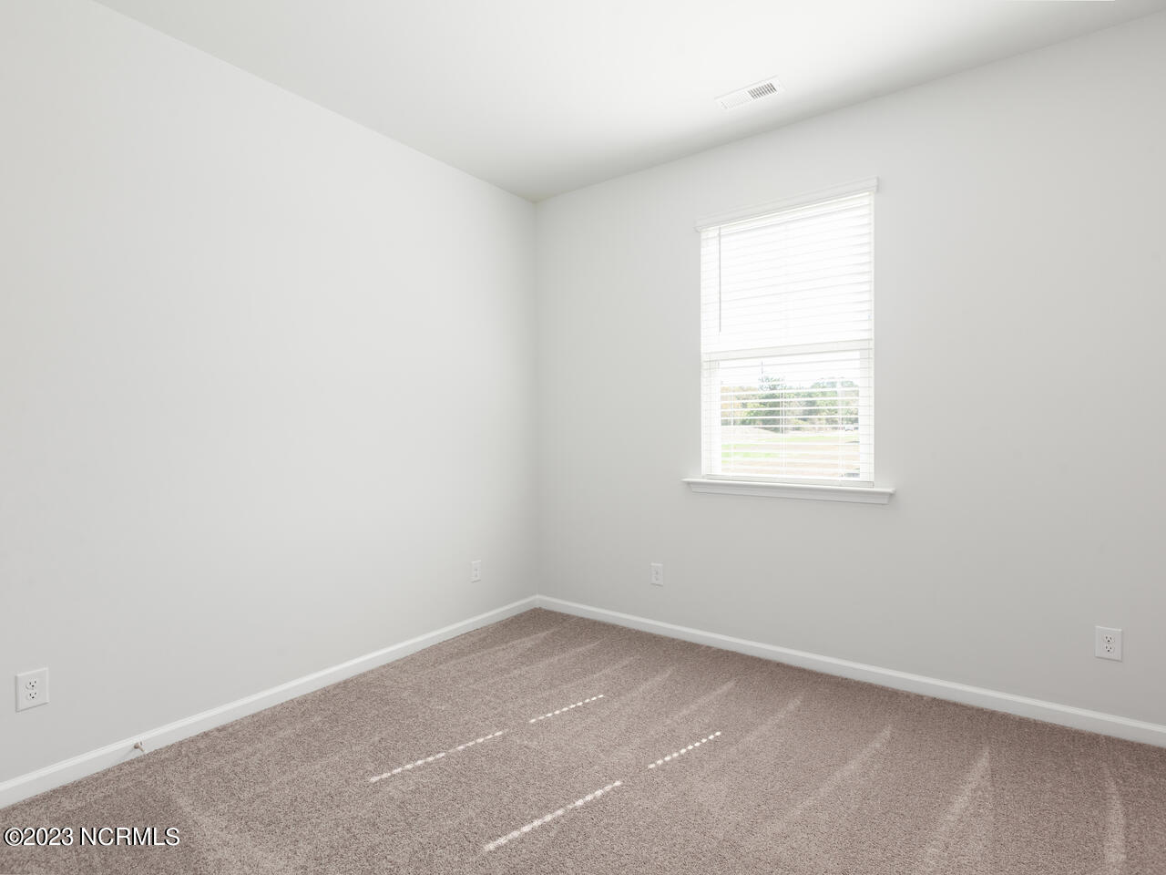 3012 Goldenaster Court Lot 2037