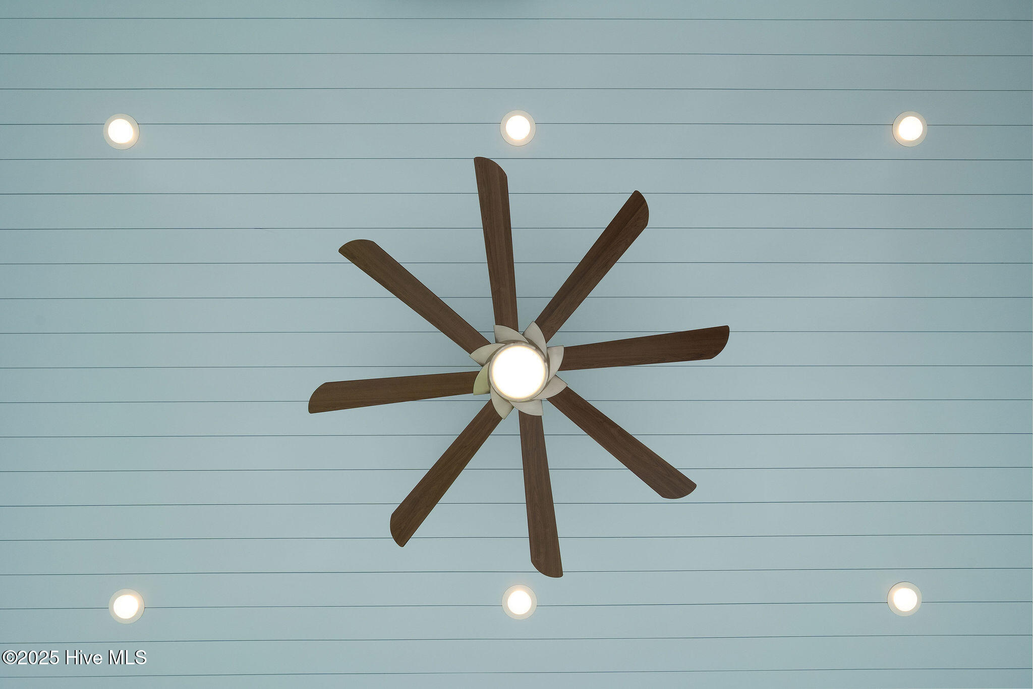 23 Downy Drive