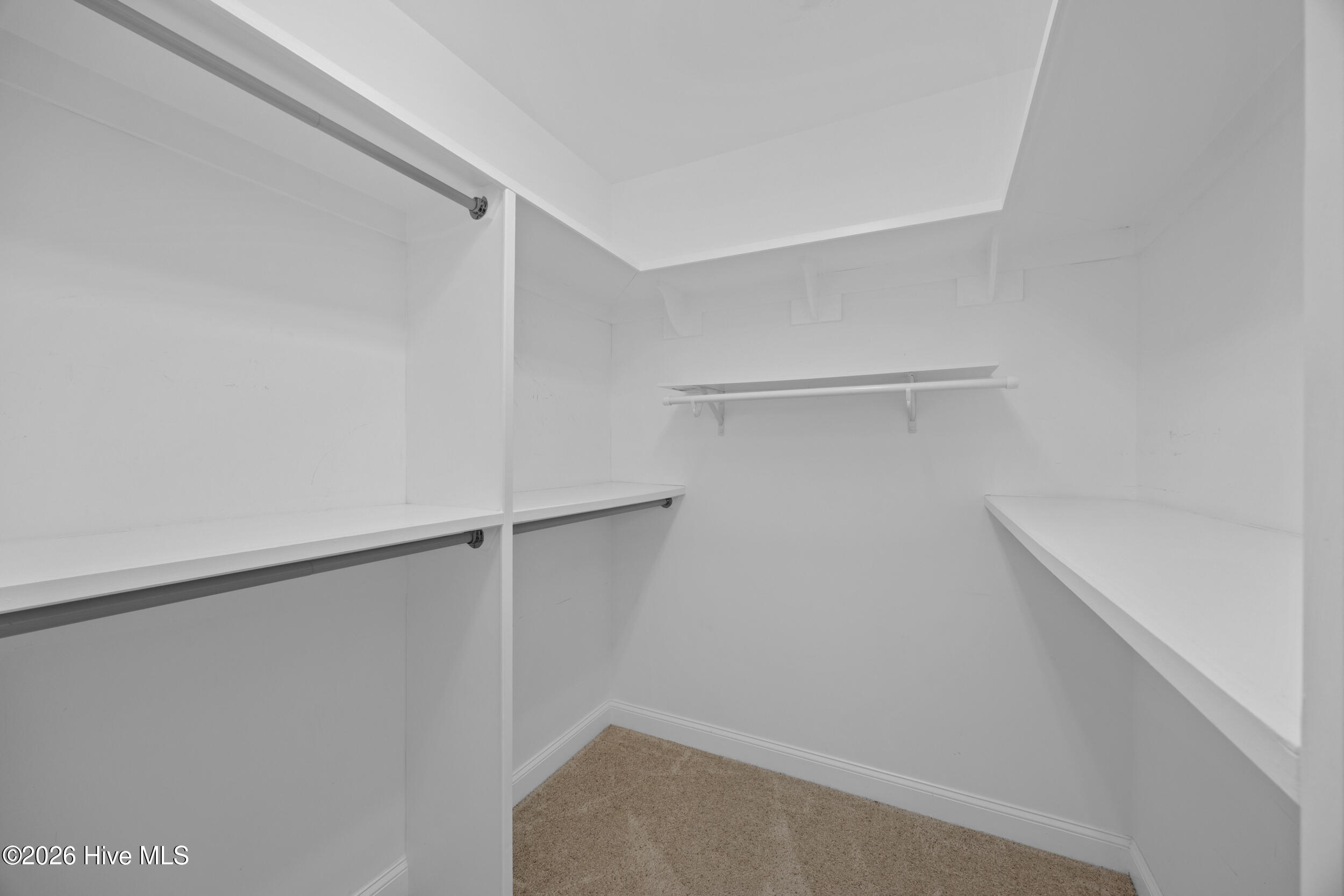 Walk-in closet with white built-in shelves, hanging rods, and beige carpet.