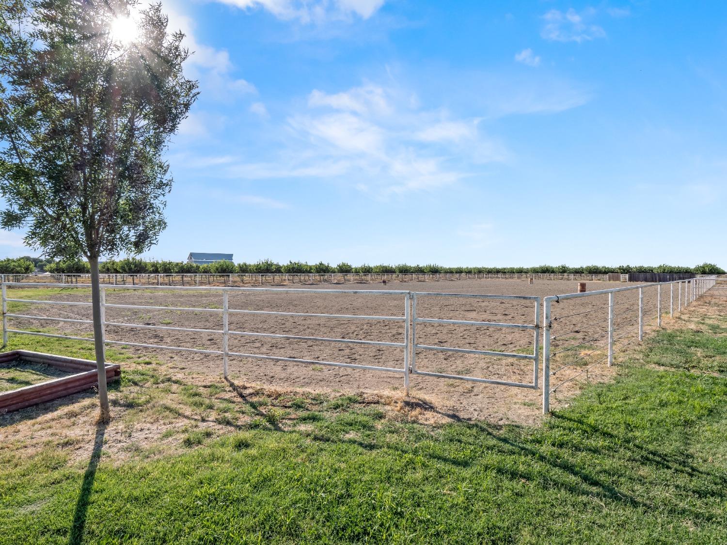 2250 W Mount Whitney Avenue