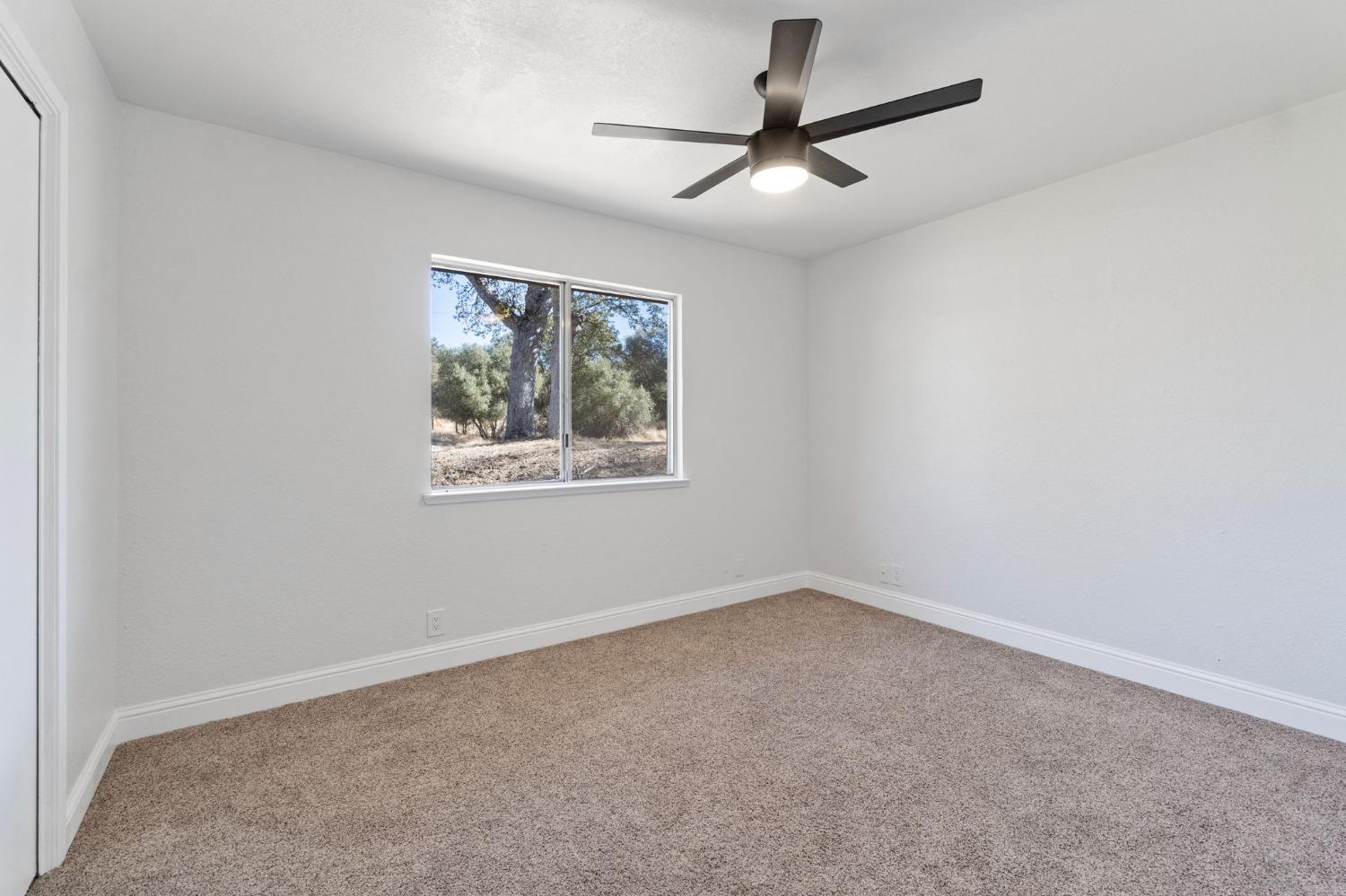 31456 Erie Road
