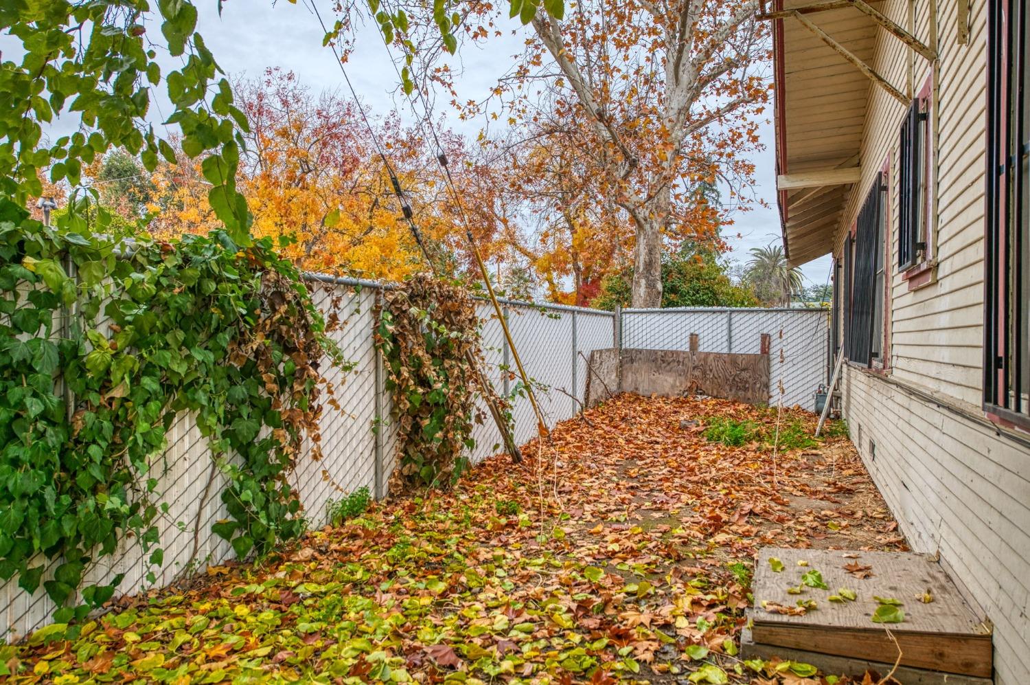 705 N Poplar Avenue