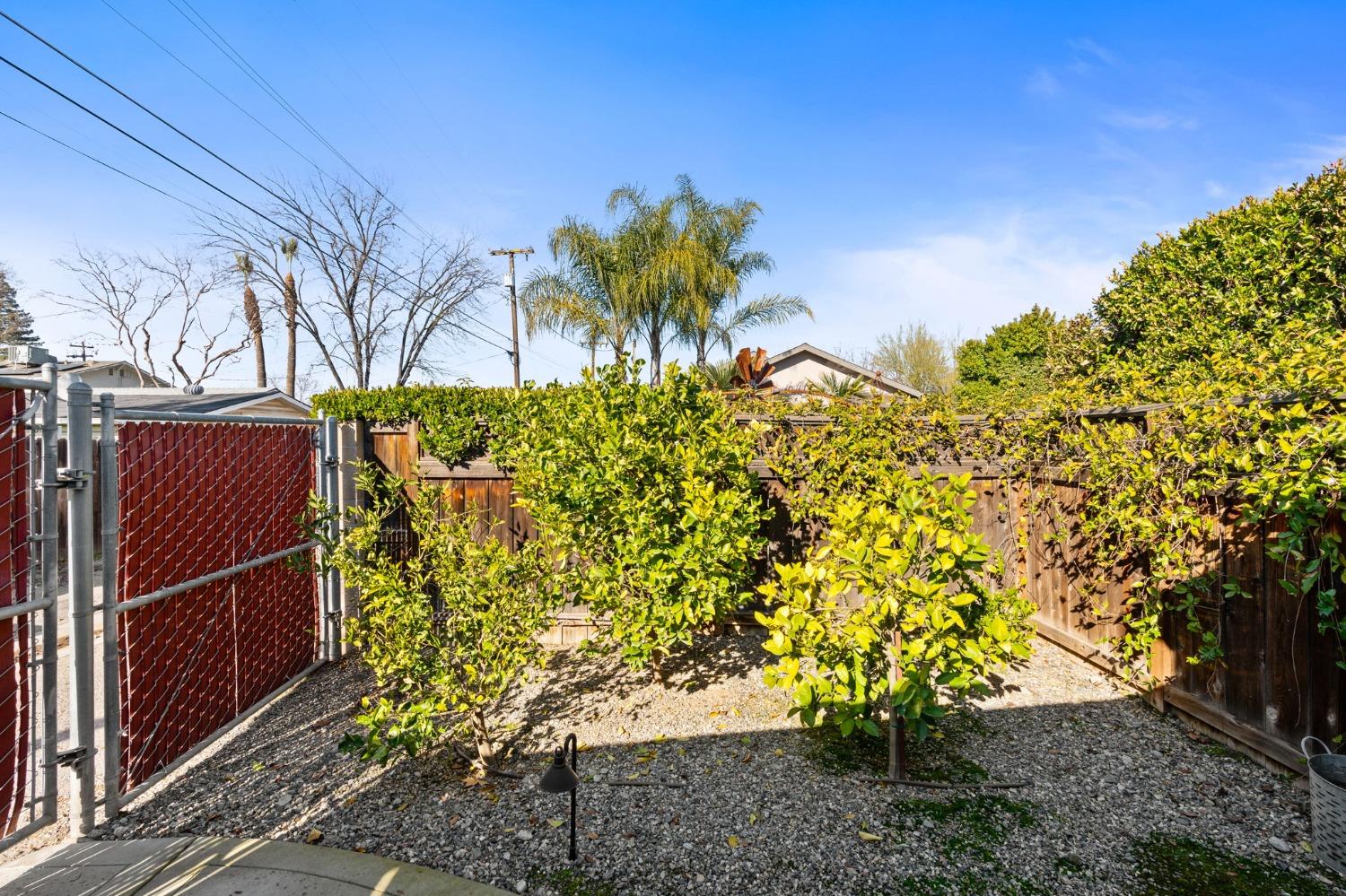 316 Dewitt Avenue