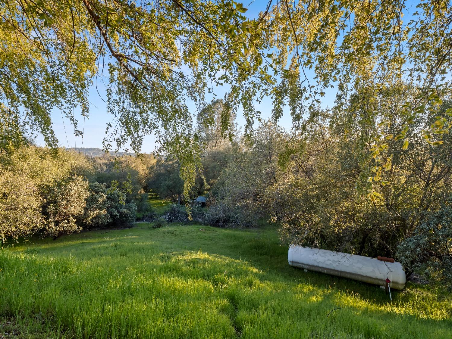 45936 Spring Trail