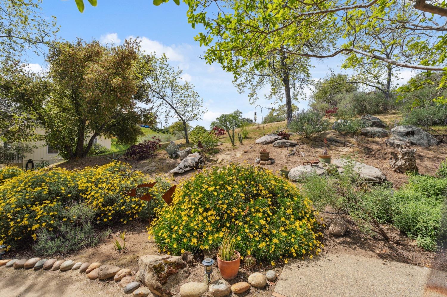 30999 Blue Heron Way