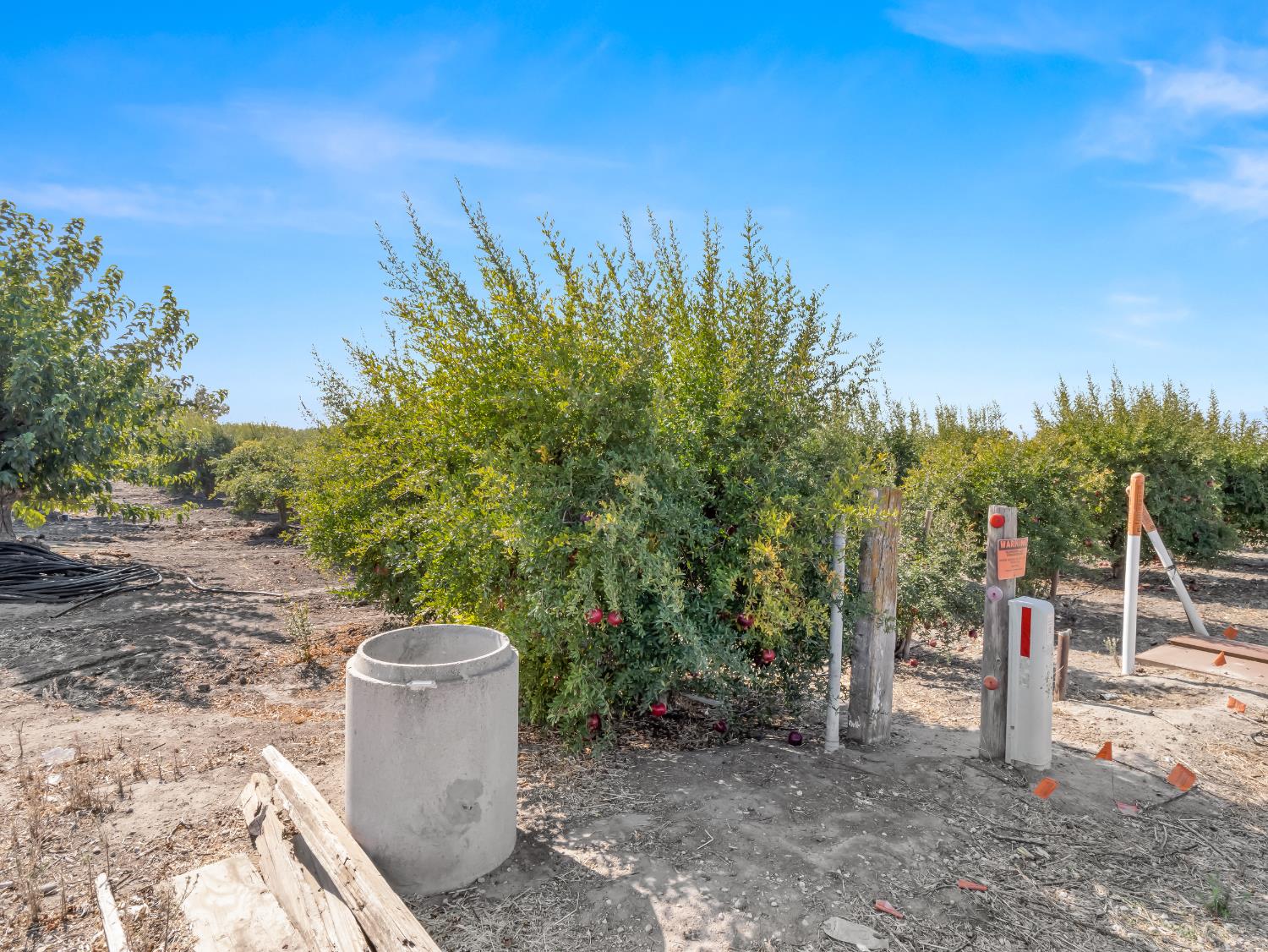 20445 W Manning Avenue