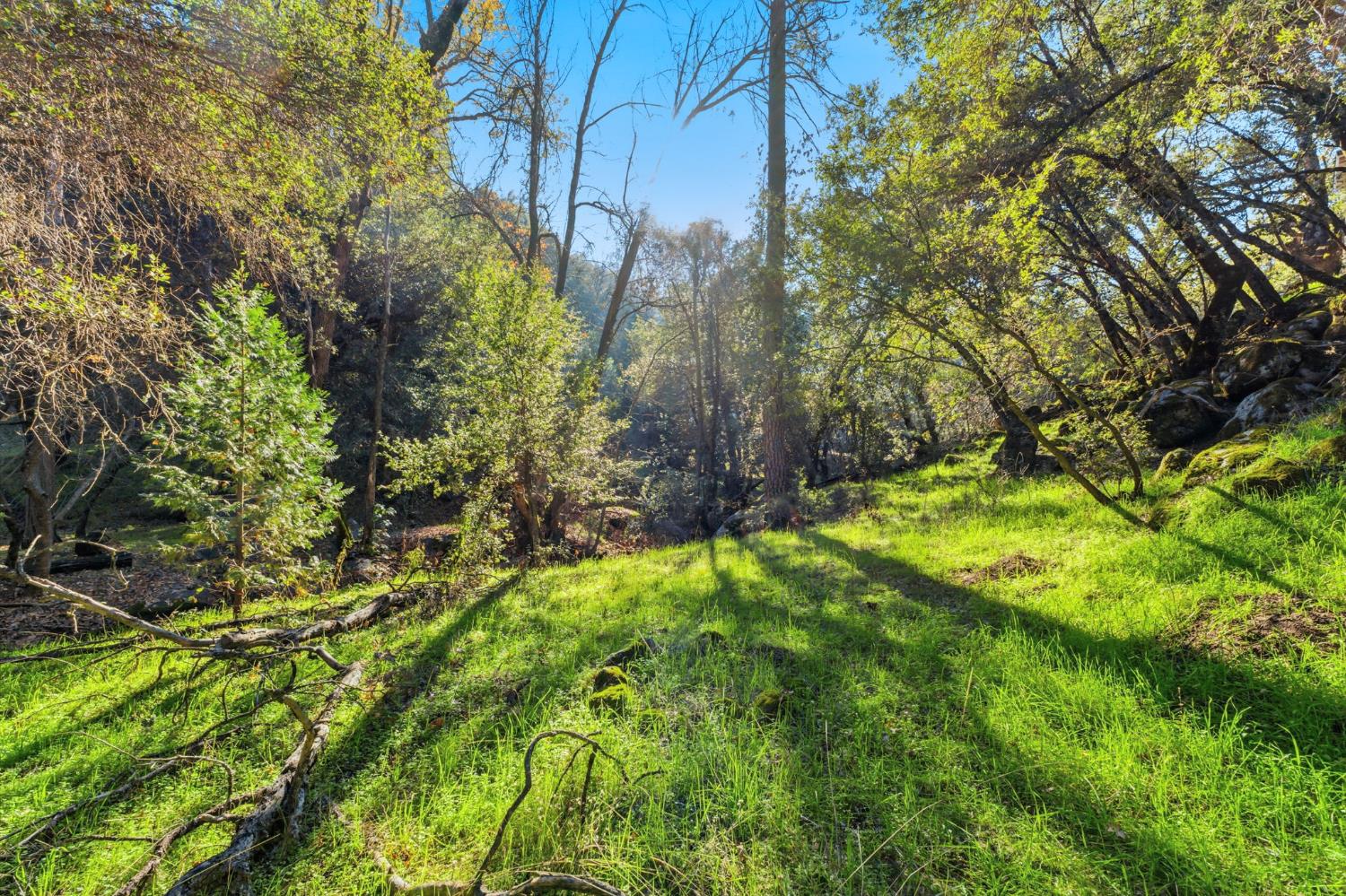 40089 John West Road