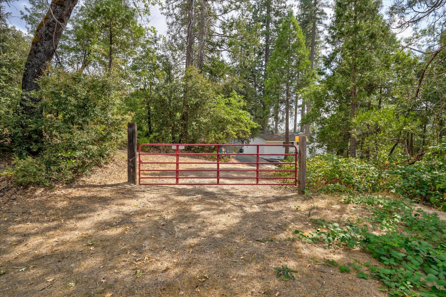 53295 Road 432