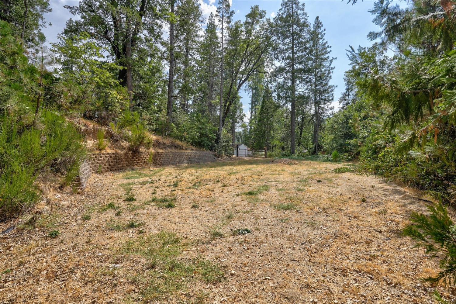 53295 Road 432