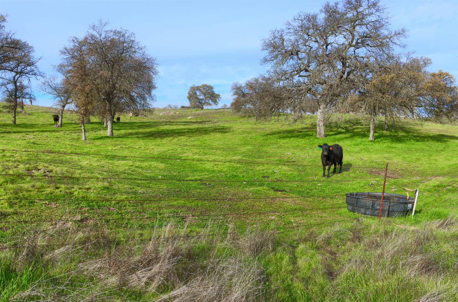 0 Vista Oak Drive