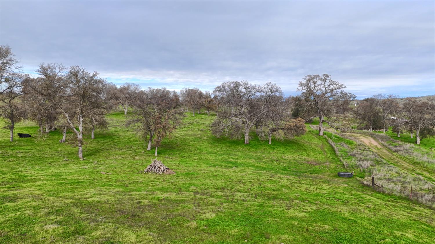 0 Vista Oak Drive