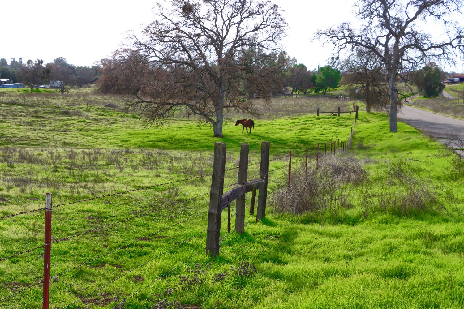 0 Vista Oak Drive