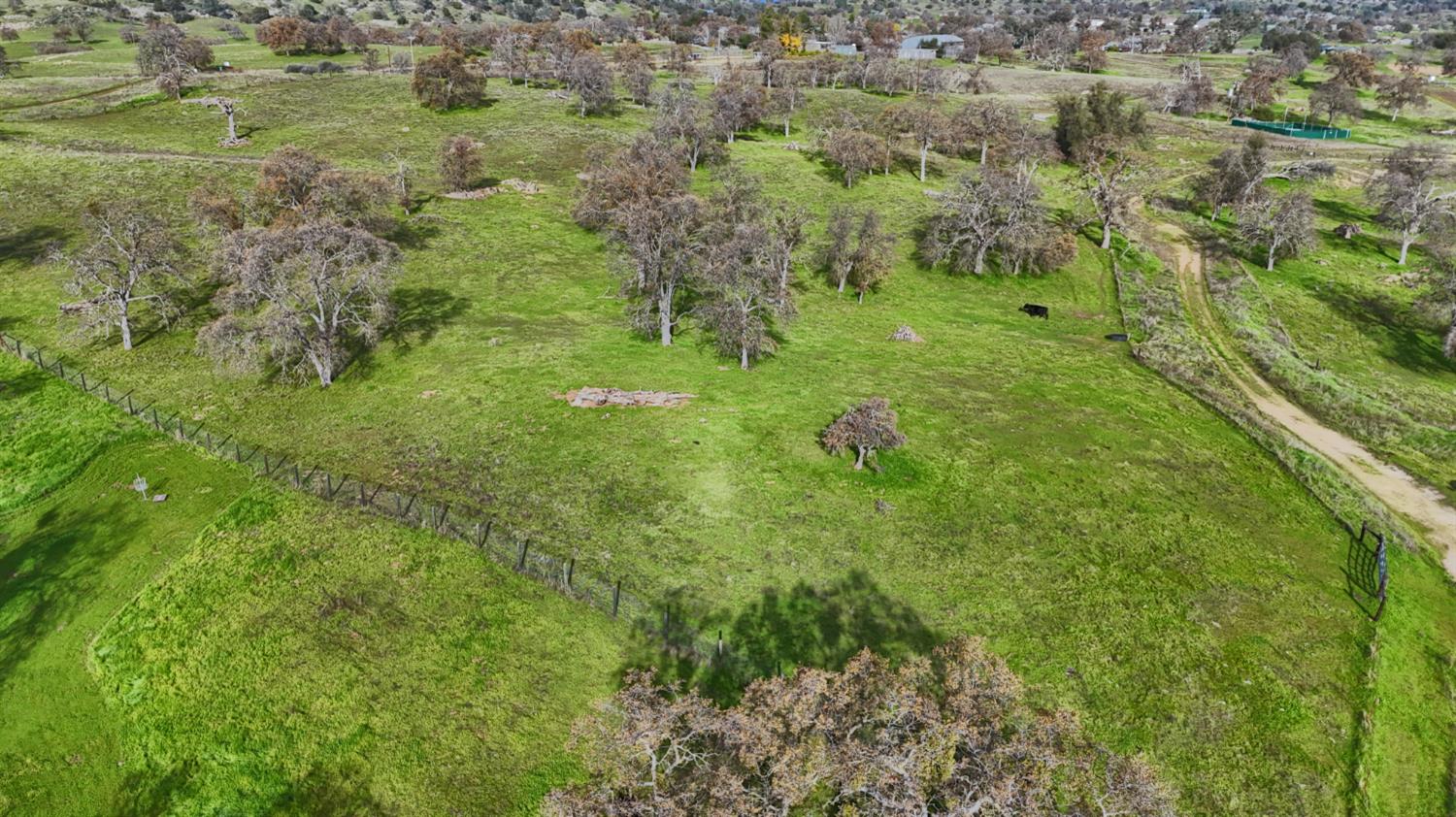 0 Vista Oak Drive