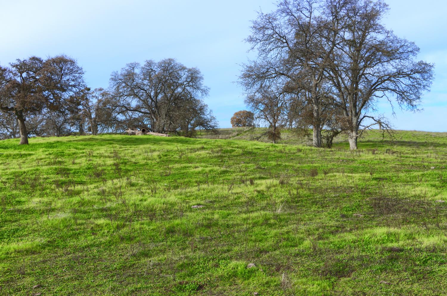 0 Vista Oak Drive