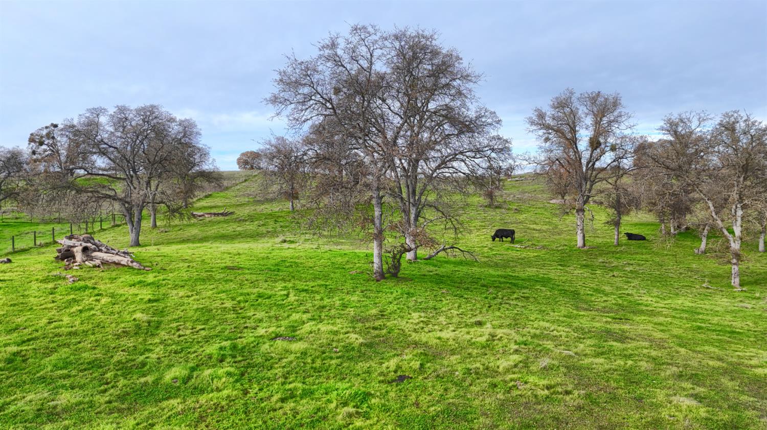 0 Vista Oak Drive
