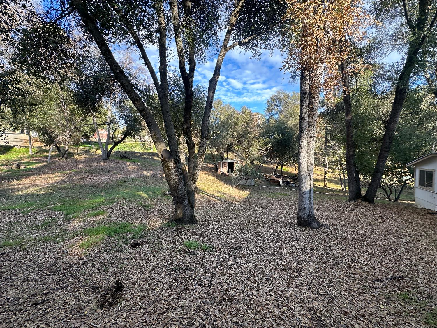 40653 Hodges Hill Drive