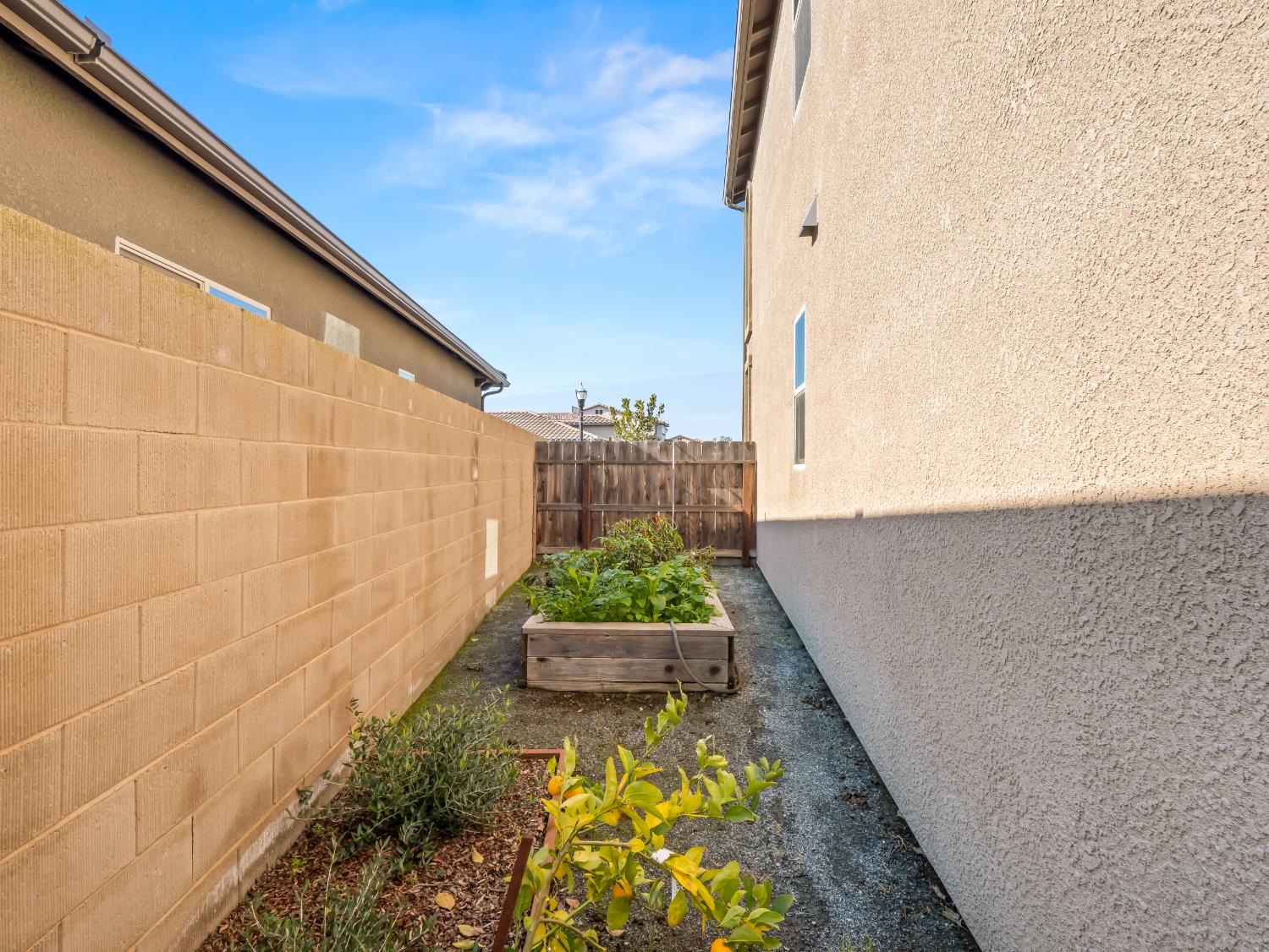 11584 N Via Venitzia Avenue