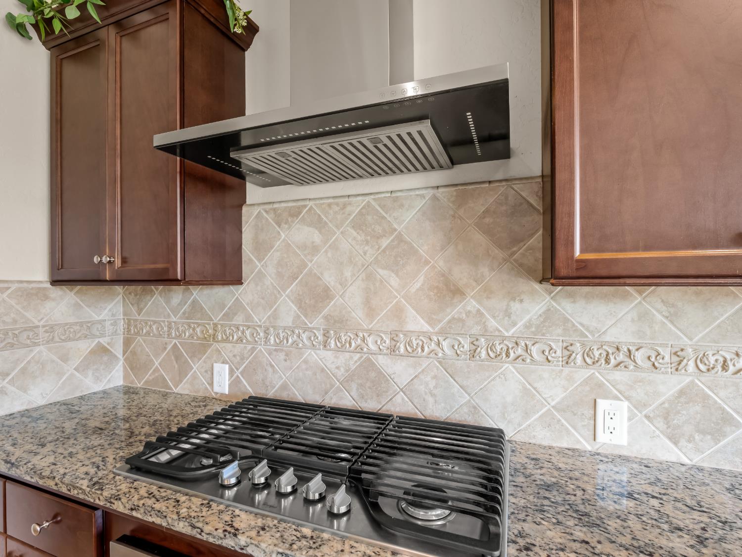 11584 N Via Venitzia Avenue