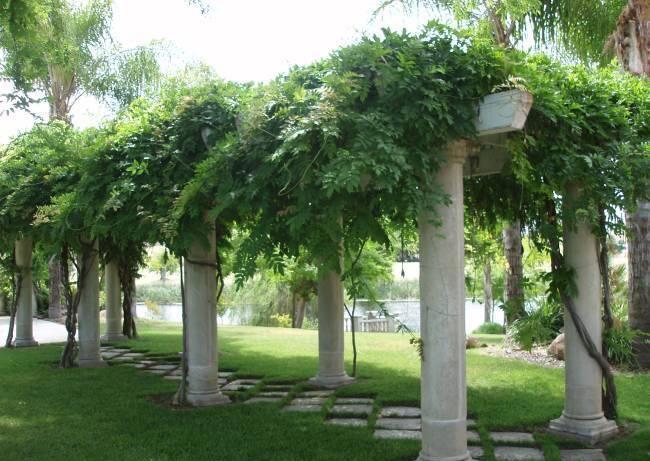 32933 Success Valley Drive