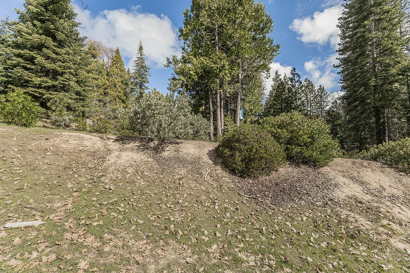 39553 Sunrock