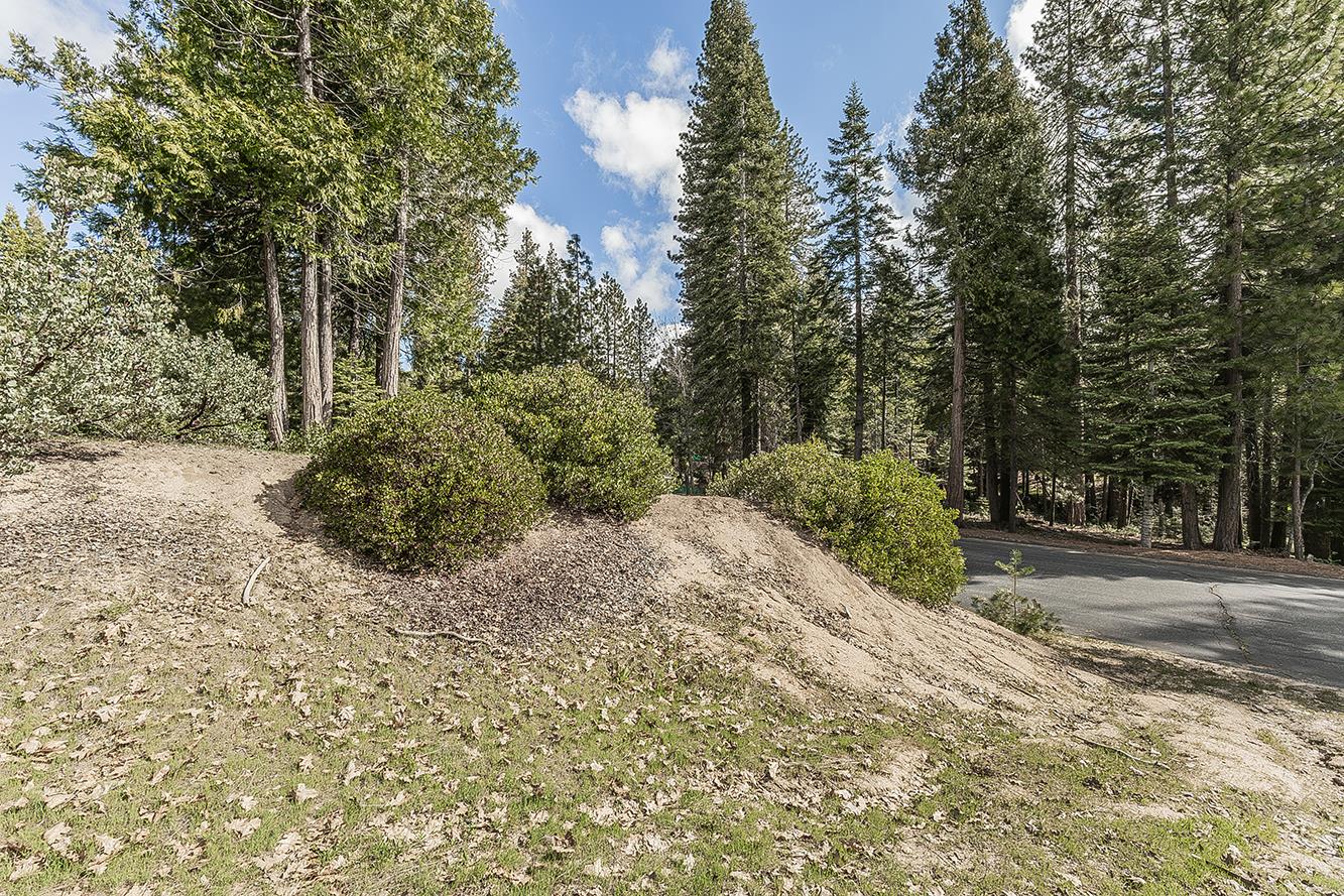39553 Sunrock