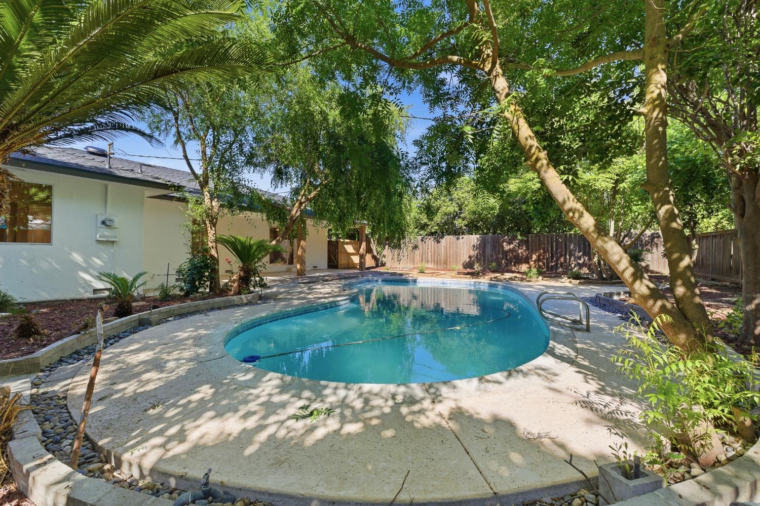 1295 E Almendra Drive