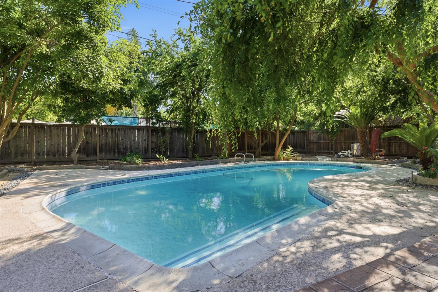 1295 E Almendra Drive
