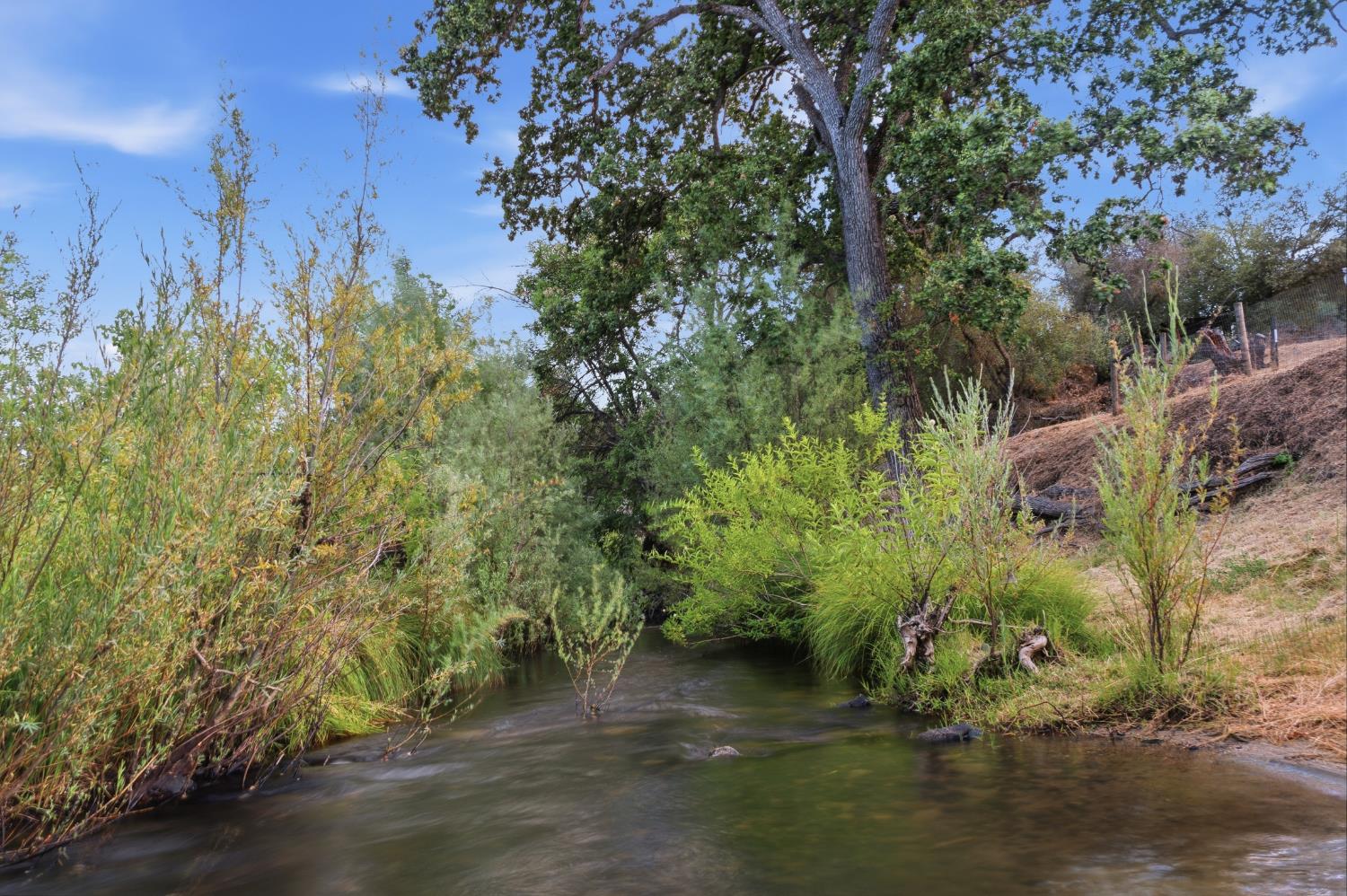 33515 River Knolls Lane