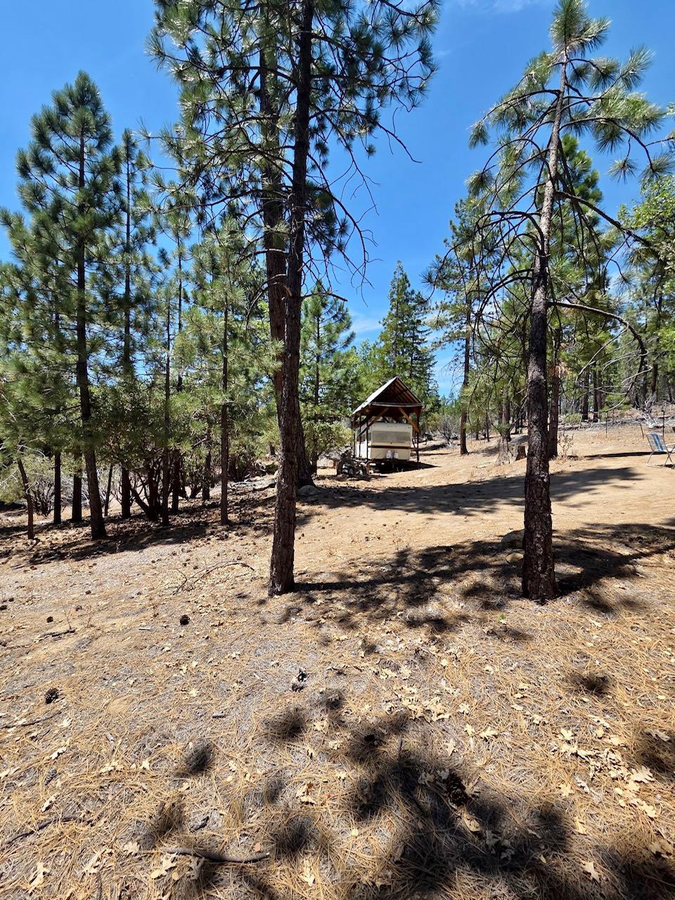 167 Pine Cone Path