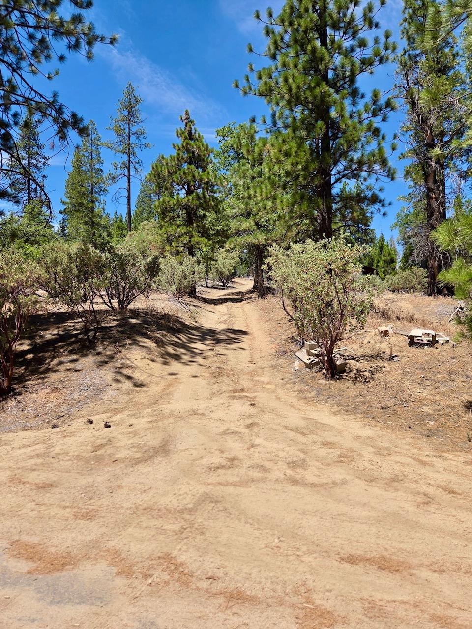 167 Pine Cone Path