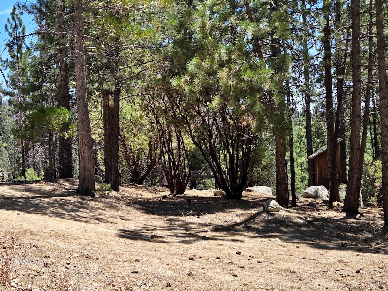 167 Pine Cone Path