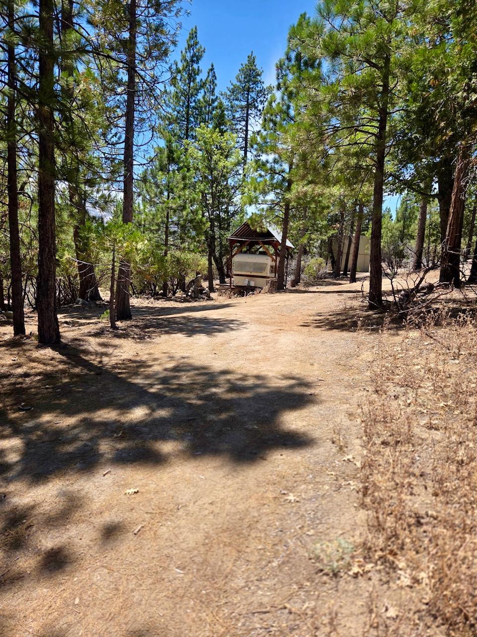 167 Pine Cone Path
