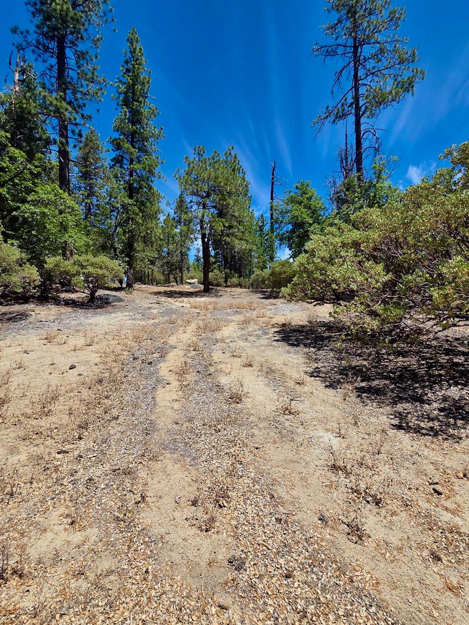 167 Pine Cone Path