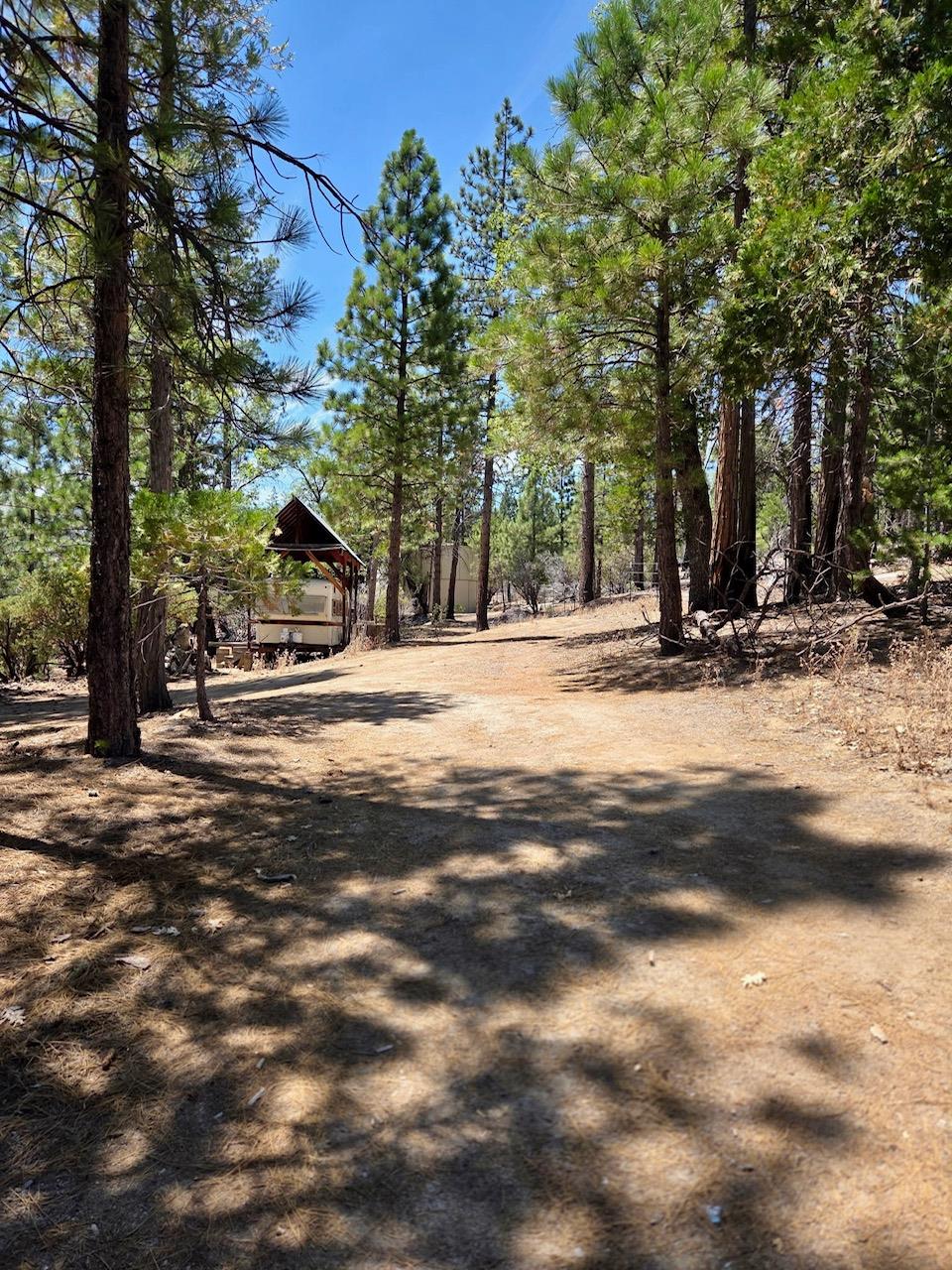 167 Pine Cone Path
